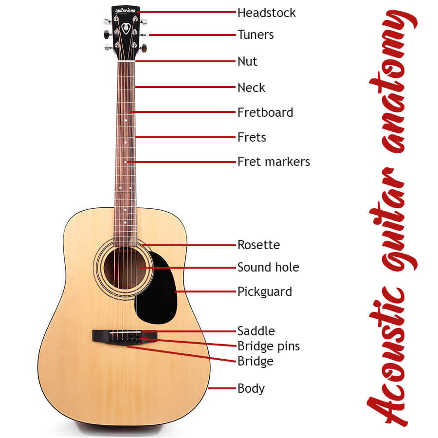 Can you name the parts of an acoustic guitar?